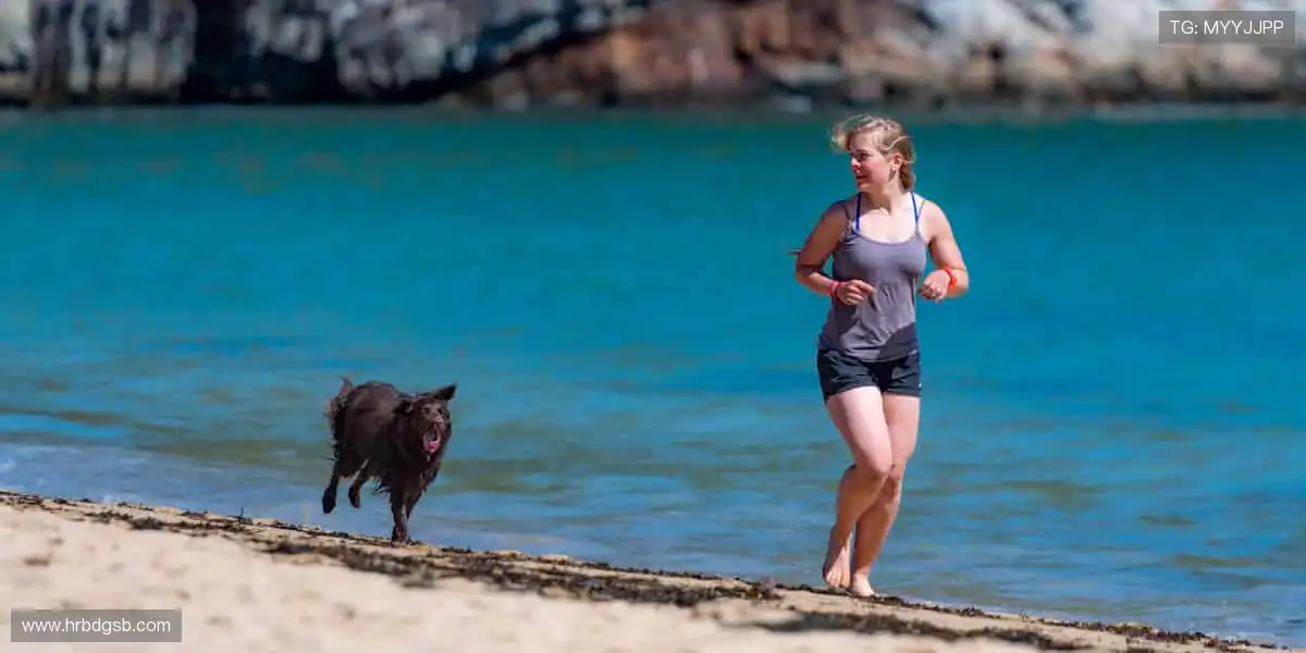 🚴 运动不止，探索无限可能，从一双专业跑鞋开始！👟